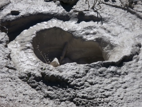 mud pots, Yellowstone N.P.